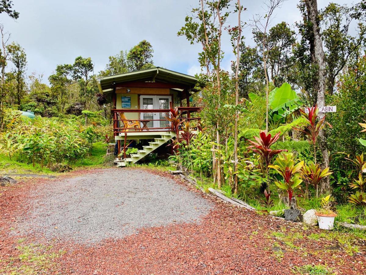 Rainforest Eco Cabin Volcano Exterior foto